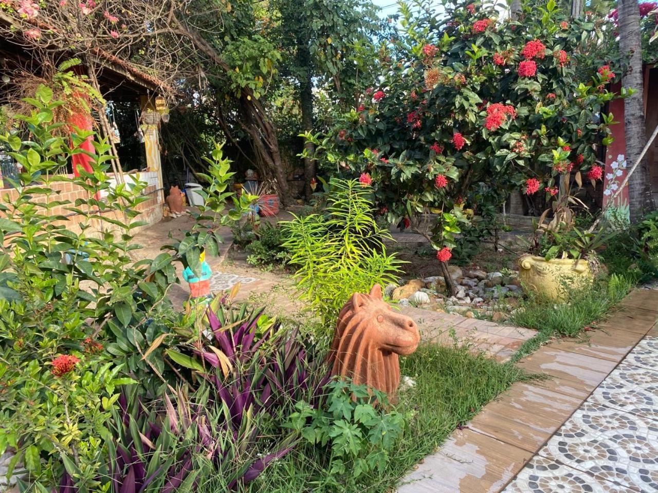 Pousada Casa Colorida Ξενοδοχείο Pôrto das Galinhas Εξωτερικό φωτογραφία